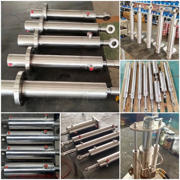 Factory Stainless Steel Hydraulic Lift Cylinder for Marine Boats