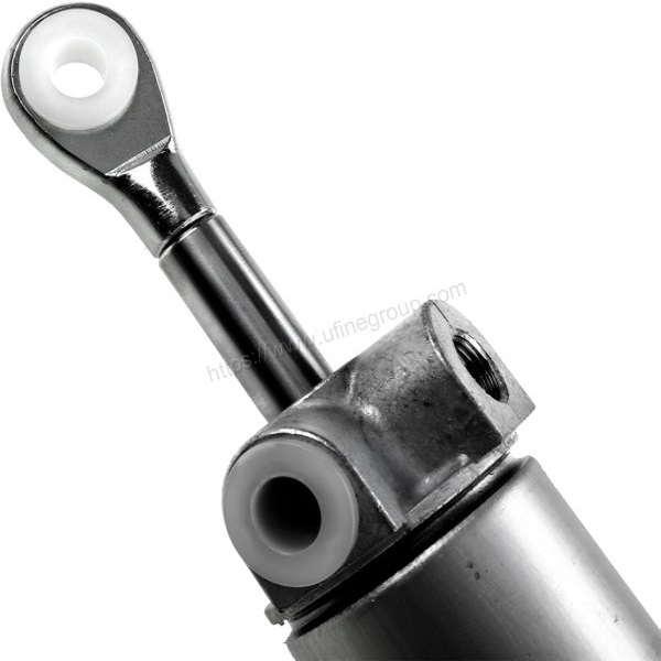 Factory Customize SUS304 316 Hydraulic Cylinders for Sea Lading Platform